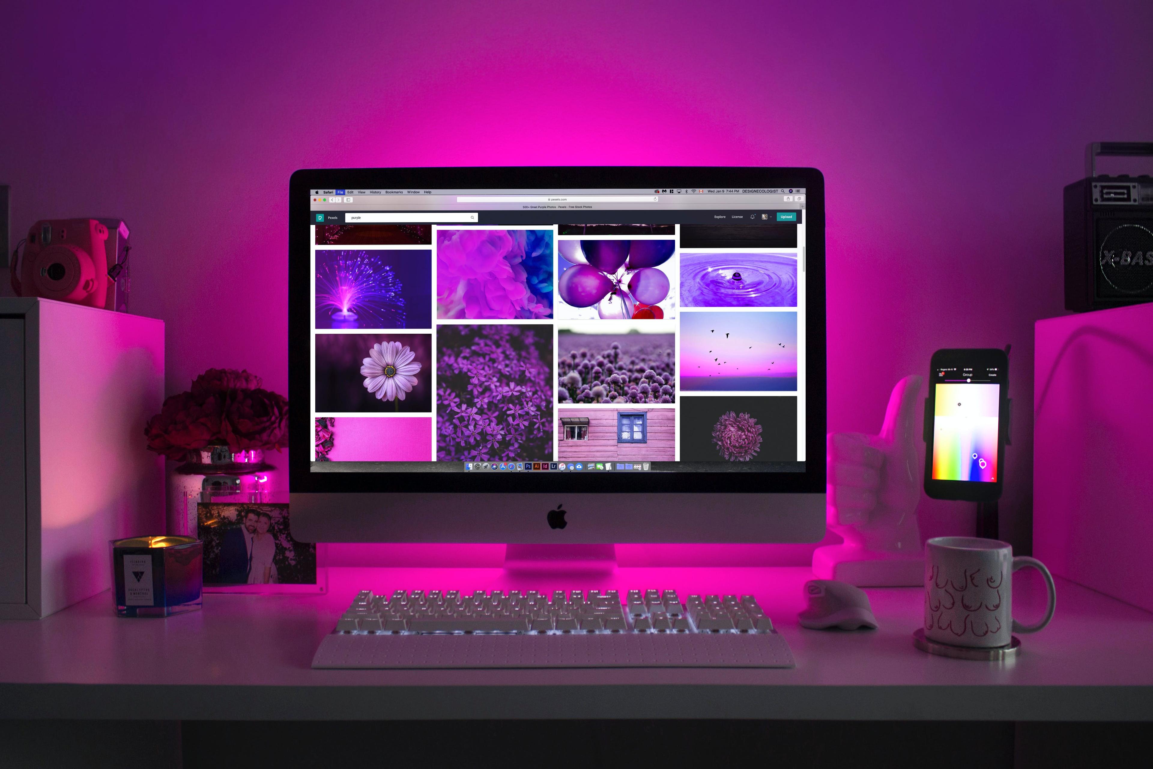 CMS Web Development